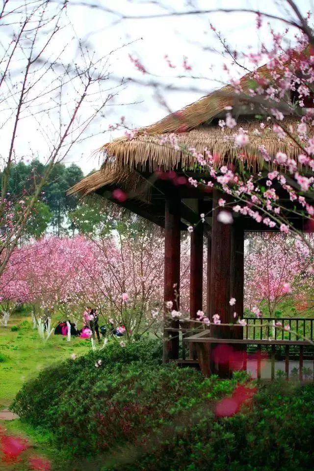 探索情人节是我生日女朋友给我发红包520我给女朋友发多少?精彩世界!